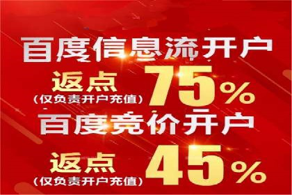 SEM外包策略在电商平台的成功案例